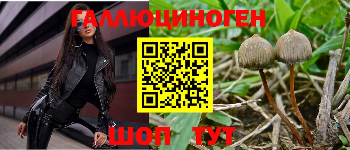 Галлюциногенные грибы прущие грибы Лысьва